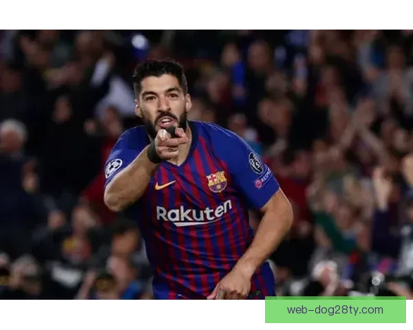 澳媒曝阿德莱德联新星拒赴荷甲 澳媒曝阿德莱德联新星拒赴荷甲