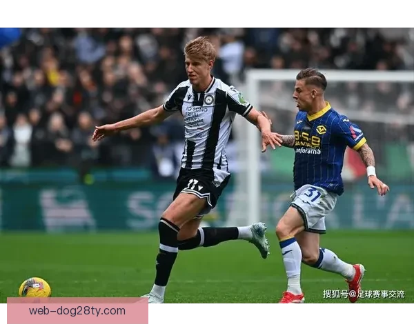 帕尔马二比一胜维罗纳双星闪耀