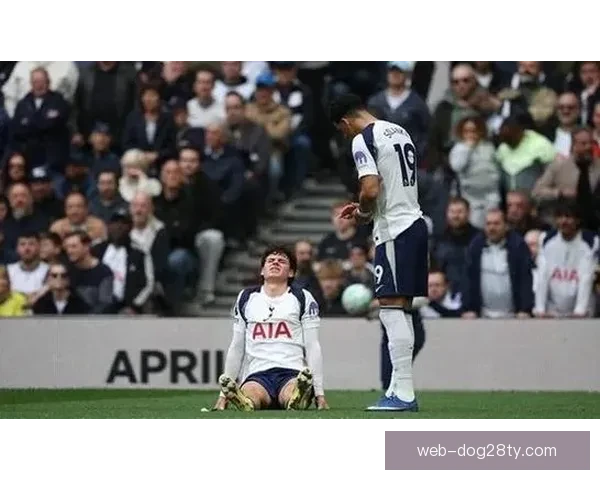 内维尔:热刺降级有助英超发展 内维尔:热刺降级有助英超发展