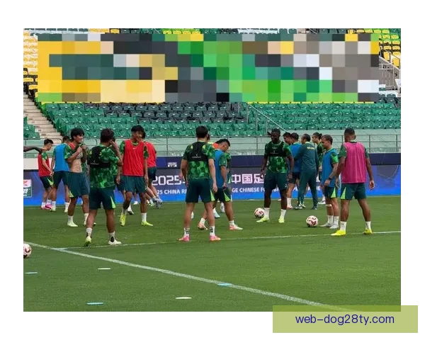 国安球员康复训练聚焦:塞尔吉尼奥等亮相 国安球员康复训练聚焦:塞尔吉尼奥等亮相